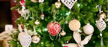 С наступающим Новым 2026 Годом!